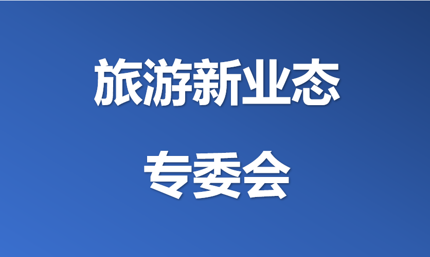 新业态专业委员会